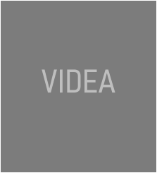 VIDEA