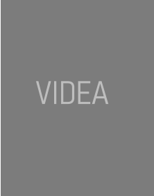 VIDEA