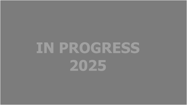 IN PROGRESS 2025