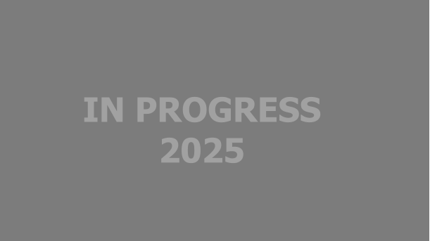 IN PROGRESS 2025
